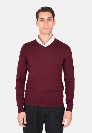 Maglione bordeaux a scollo a V in morbido materiale a maglia, con maniche lunghe e polsini e orlo a coste, indossato sopra una camicia bianca con colletto.