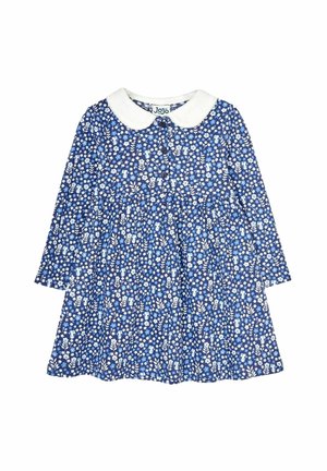 Robe florale bleue avec des manches longues, col Peter Pan blanc, devant à boutons et jupe froncée. Présente de petites fleurs blanches et bleu clair.