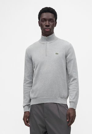 Mann trägt hellgrauen Quarter-Zip-Pullover mit kleinem grünem Krokodillogo und dunkelgraue Hose, steht vor weißem Hintergrund.
