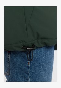 Geselecteerd, darkgreen