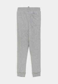 Fila Pantalones deportivos - grey