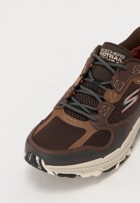 Skechers terrengløpesko i brun med mesh- og læroverdel, svarte og grå detaljer, teksturert såle og fargerike snører.
