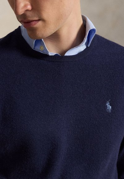 Mand iført en lyseblå skjorte med krave under en navyblå sweater med en lille broderet hestelogo på brystet.