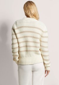 Crème en beige gestreepte gebreide trui met ribgebreide zoom en manchetten, die een gestructureerd patroon toont. Achteraanzicht, lange mouwen zichtbaar.