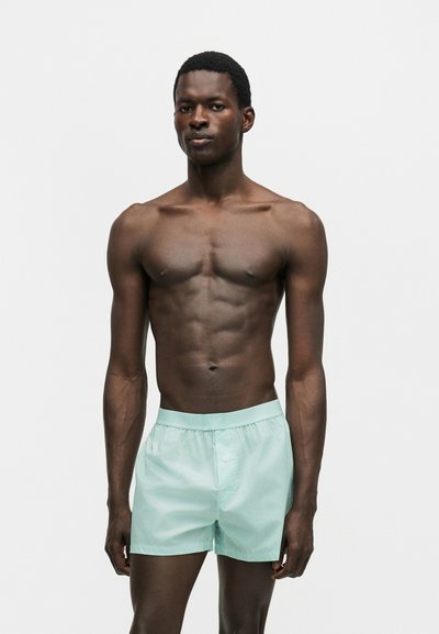 Μυώδης άνδρας με σκούρο δέρμα στέκεται, φοράει ανοιχτό μπλε μποξεράκια σε απλό λευκό φόντο.