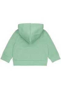 Felpa verde in cotone con cappuccio, caratterizzata da una texture liscia e polsini e orlo a costine. Il retro è semplice e presenta una silhouette minimalista.
