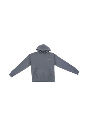 Gray hoodie with long sleeves, a front kangaroo pocket, ribbed cuffs, and a drawstring hood. Features subtle logo embroidery on the chest.