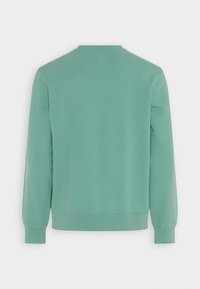 Sudadera verde hecha de una suave mezcla de algodón. Presenta mangas largas, un cuello redondo y puños y dobladillo de canalé, con una textura lisa y sencilla.