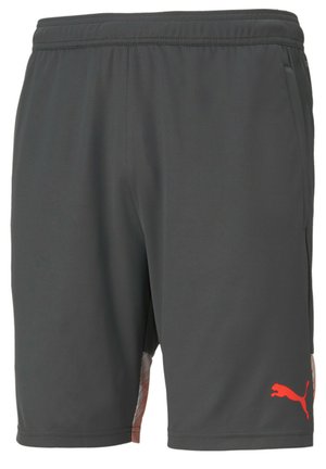 Puma INDIVIDUAL SHORTS - Kurze Sporthose - asphalt-red blast