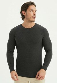 COL ROND - Pullover - anthracite