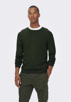 Maglione a maglia verde scuro con un colletto bianco sotto. Caratterizzato da maniche lunghe e polsini a coste. Abbinato a pantaloni cargo verde oliva.