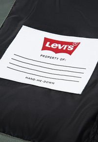 Levi's® LINED PUFFER UNISEX - Winterjacke - laurel wreath