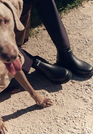 Aigle, CHELSEA RAIN - Boots à talons - black