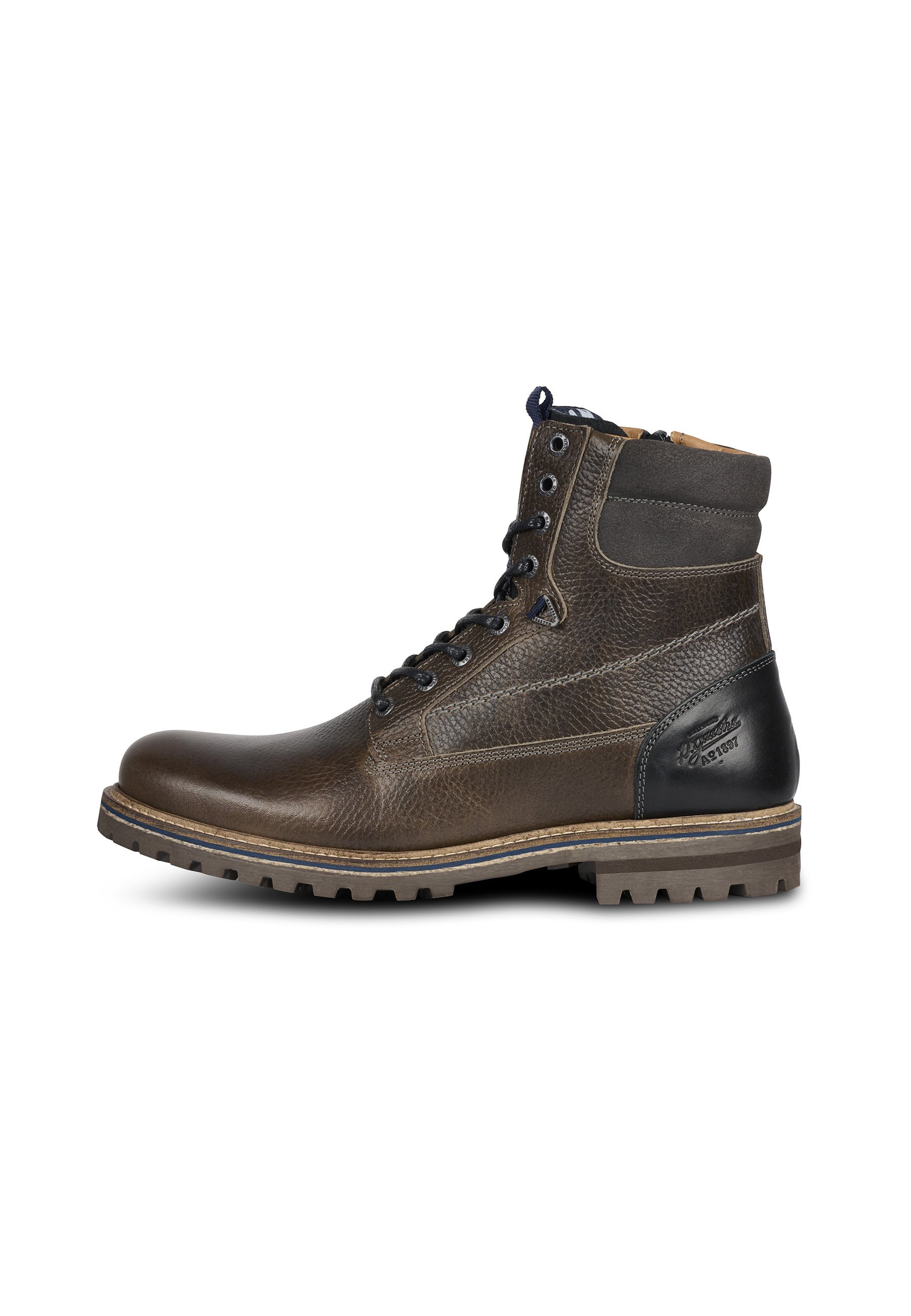 Gaastra Herenschoenen | Gratis verzending voor de meeste bestellingen* |  ZALANDO