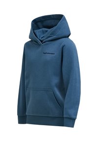 Felpa blu realizzata in materiale morbido, con una grande tasca frontale, cappuccio regolabile e logo sul petto. Design semplice e classico.