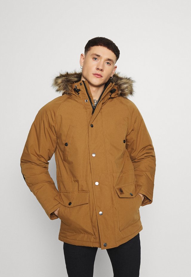 TRAPPER - Veste d'hiver - hamilton brown