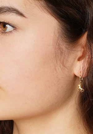 trendor, Earrings - gold-coloured