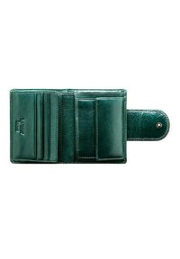 WITTCHEN VERONA COLLECTION - Portafoglio - dunkelgrün
