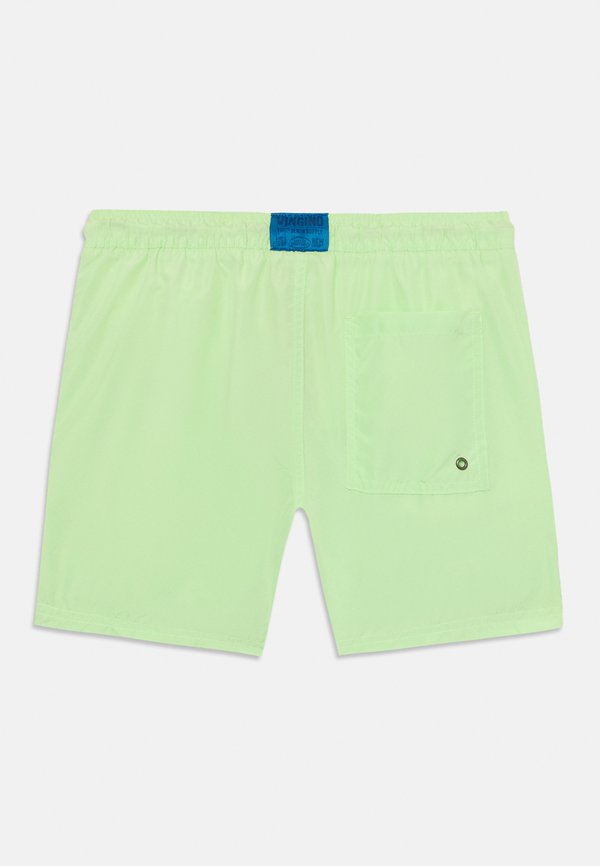 BASIC - Swimming shorts3
