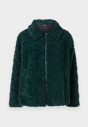 ONLY, ONLCALI JACKET - Winterjacke - scarab
