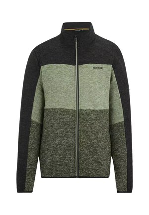 Herrenjacke mit durchgehendem Reißverschluss und Stehkragen, farblich abgesetzte Einsätze in Anthrazit, Hellgrün und Dunkeloliv sowie Regatta Outdoors-Logo auf der Brust.