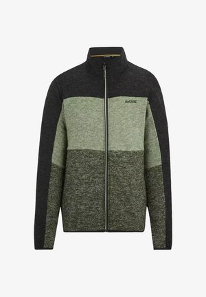 Regatta, ELRAM - Fleece jacket - dark khaki light sage black