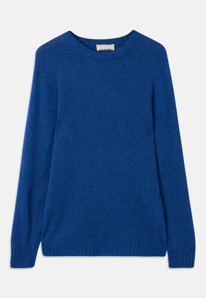 LONG SLEEVE MEN - Trui - blue