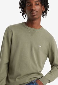 Groene gebreide trui met een ronde hals, geribbelde accenten op de schouders en een klein Levi's-logo op de borst. Zachte textuur, casual pasvorm.