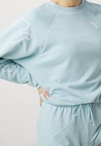 Světle modrá mikina se zaobleným výstřihem, na jednom rukávu zdobená bílým obrysem a malým logem na hrudi.