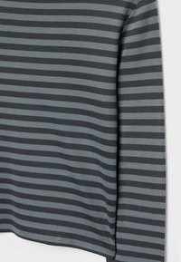 Section d'un t-shirt à manches longues à rayures horizontales gris foncé et bleu sourd, montrant une partie du torse et de la manche droite.