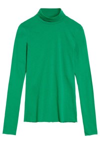 Grön långärmad polotröja i mjukt tyg, med en åtsittande hals och rak nederkant. Inga mönster eller dekorationer synliga.