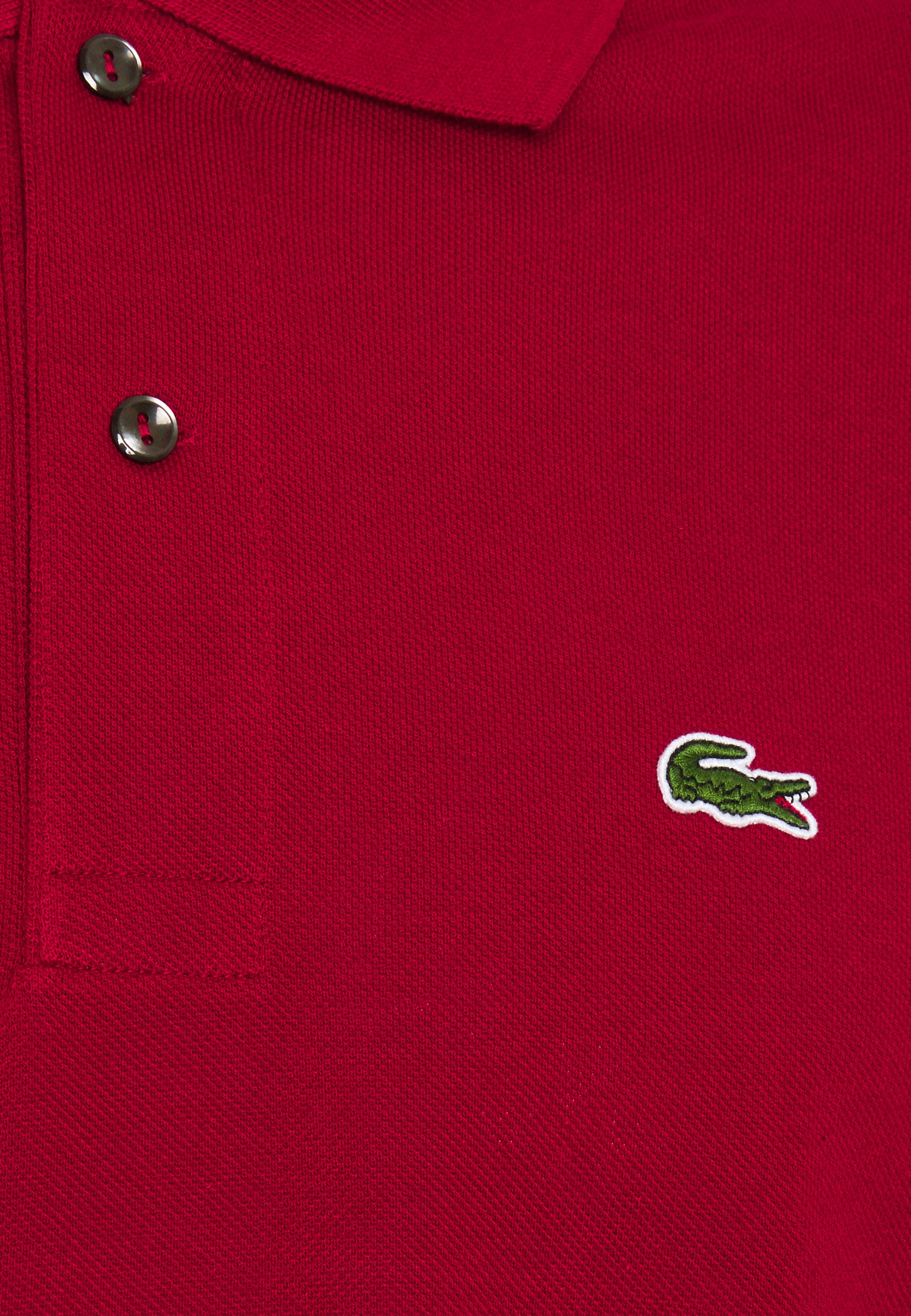 lacoste sizes