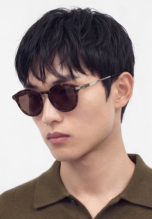 Gucci Lunettes de soleil - havana/silver-coloured/brown