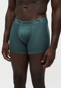 Αρσενικός κορμός που φοράει τυρκουάζ boxer της Puma με λογότυπο στη μέση, στέκεται μπροστά σε απλό φωτεινό φόντο.