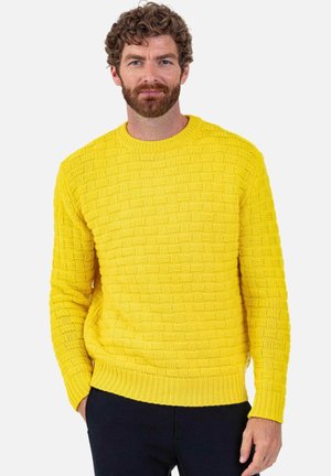 PEDRO - Strickpullover - jaune citric