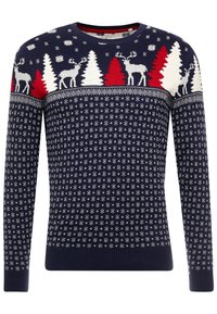 TOM TAILOR Maglione - dark blue