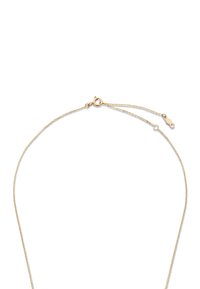 Collier en or avec une chaîne délicate, doté d'un fermoir à homard et d'une longueur ajustable. Le design est épuré et minimaliste, mettant l'accent sur la simplicité.