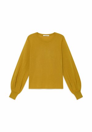 COLOURS OF THE WORLD - Maglione - mustard