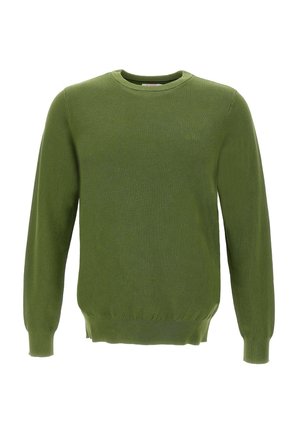 Maglione verde con scollo rotondo, maniche lunghe e polsini e orlo a costine; realizzato in tessuto a maglia texture.