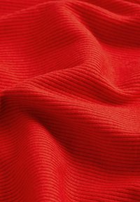 Next HALF SLEEVE HIGH NECK TSTANDARD - Tricou basic - red