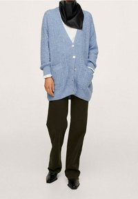 Cardigan tricoté bleu clair avec un col en V, poches avant et boutons ; porté sur une chemise blanche avec une écharpe noire et un pantalon vert foncé.