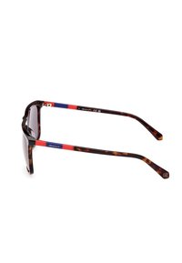 GANT UOMO QUADRAT - Occhiali da sole - dunkler havanna