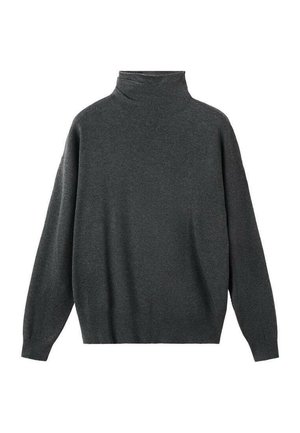 Maglione dolcevita grigio scuro in tessuto morbido, caratterizzato da una vestibilità morbida, maniche lunghe e polsini e orlo a coste. Tessuto liscio.