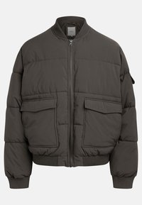 RICARDO - Chaqueta de invierno - forest night