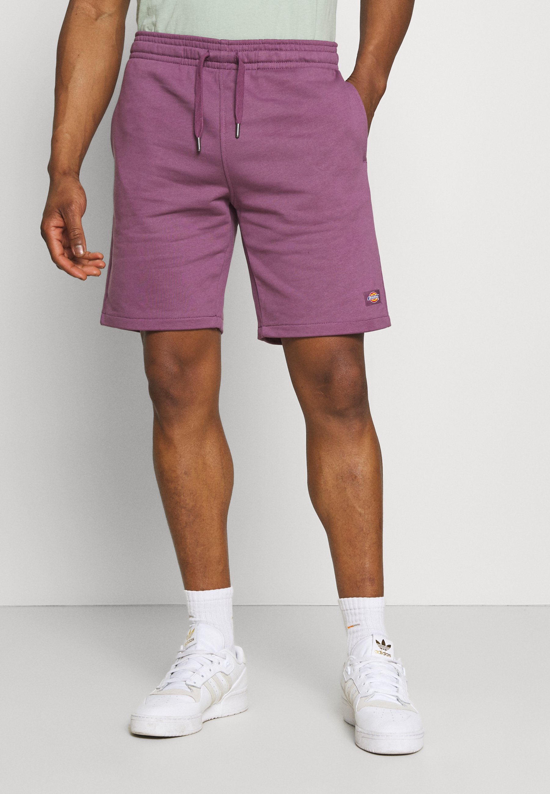 Dickies CHAMPLIN - Shorts - purple 