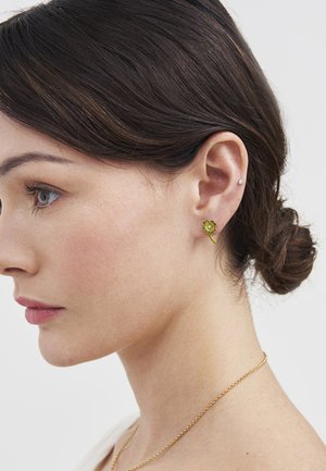 Młoda kobieta z ciemnymi włosami związanymi w koka, nosząca zielone kolczyki w kształcie czterolistnej koniczyny oraz mały sztyft w prawym uchu, z złotym naszyjnikiem na szyi.