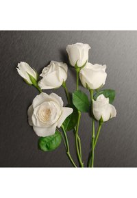 Vita rosor med gröna stjälkar och blad, varierande i storlek, placerade mot en borstad metallbakgrund. Texturerade och släta petaldetaljer är synliga.