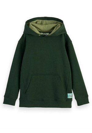 Grøn bomulds-hoodie med en løs pasform, der har en stor forreste lomme, ribstrikkede manchetter og en kontrasterende lys grøn inderforing.