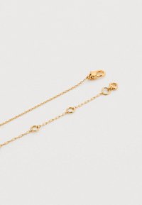 Zelta toņa taisnstūrveida saišu ķēde ar omāra aizdari un apaļiem posmiem, raksturota ar gludu metālisku virsmu un regulējamu garumu.