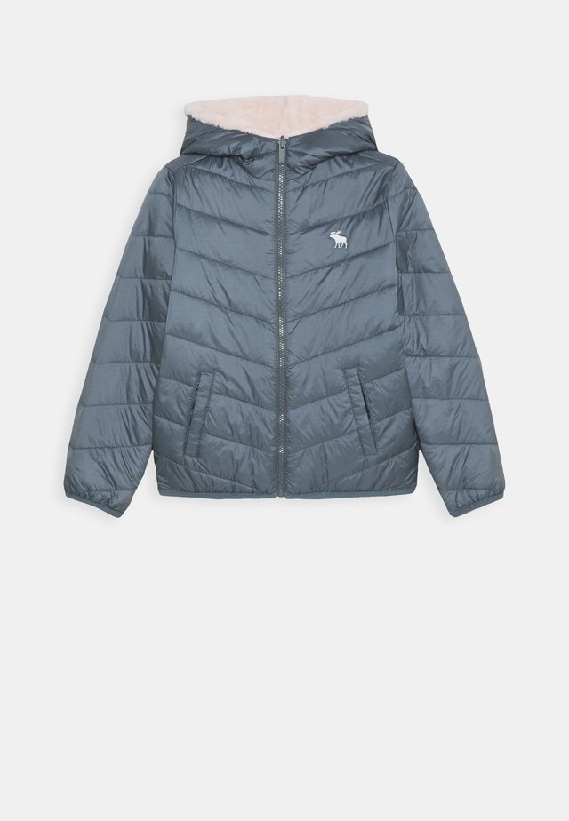 COZY PUFFER - Winterjacke - blue